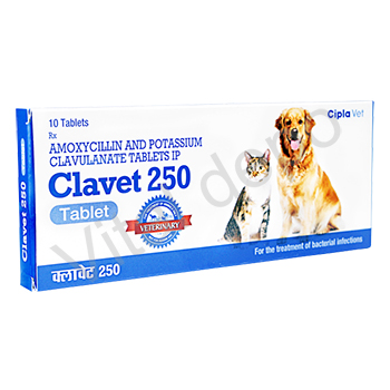 クラベット(Clavet)-250(200mg+50mg)10錠 1箱