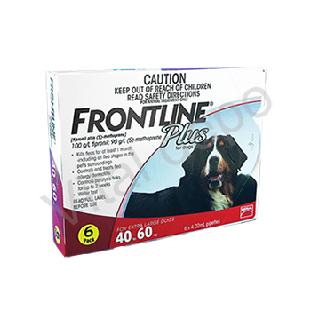 FrontlinePlus(40kg以上)6本 1箱