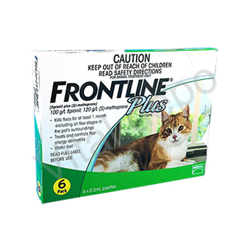 FrontlinePlusForCat6本 1箱