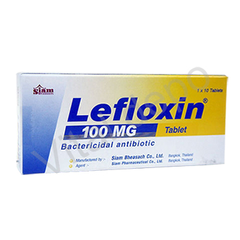 レフロキシン Lefloxin100mg10錠 10箱